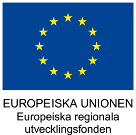 EU-flaggan med stjärnor i en cirkel