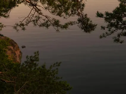 En utsikt över en vattenyta med träd i förgrunden.